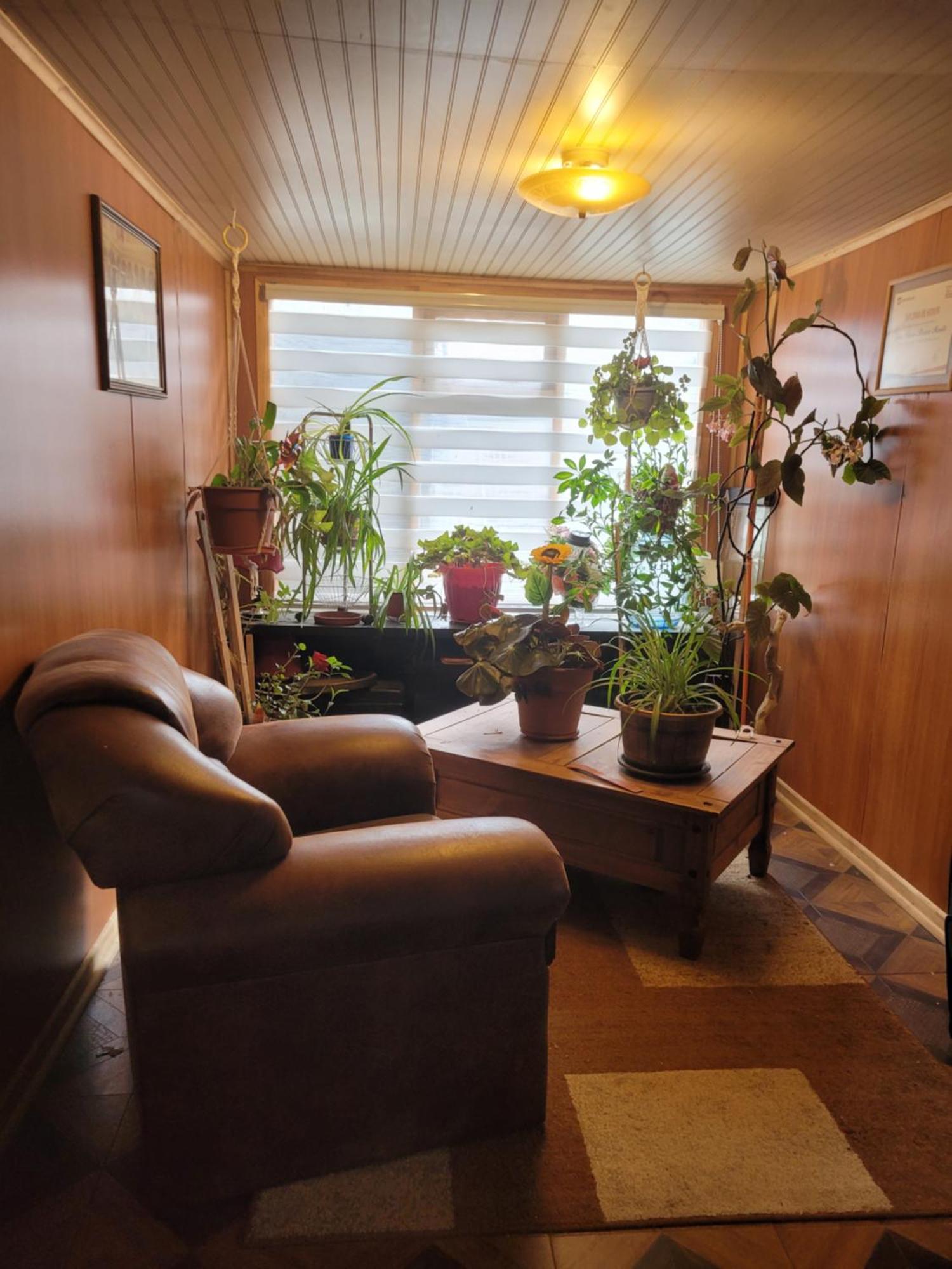 Homestay Traveltour El Campesino *